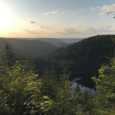 Westweg 2019 – Bild 160