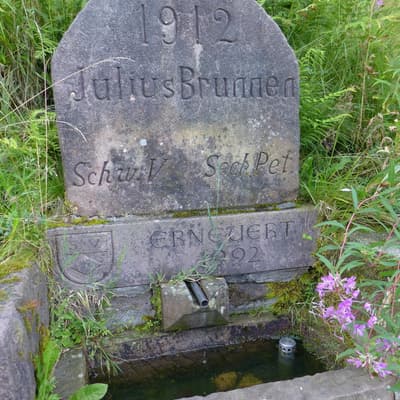 Westweg 2019 – Bild 161
