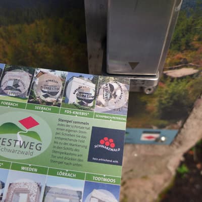 Westweg 2019 – Bild 164