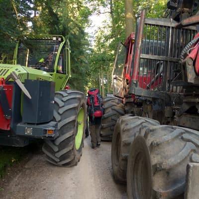 Westweg 2019 – Bild 166