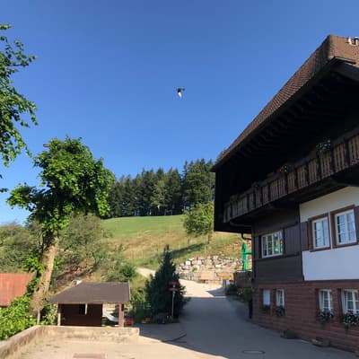 Westweg 2019 – Bild 171