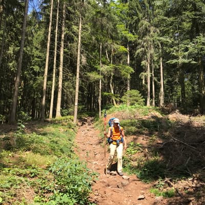 Westweg 2019 – Bild 176