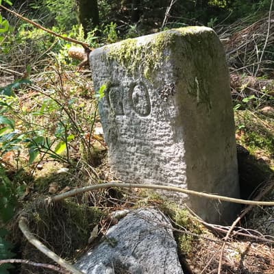 Westweg 2019 – Bild 177