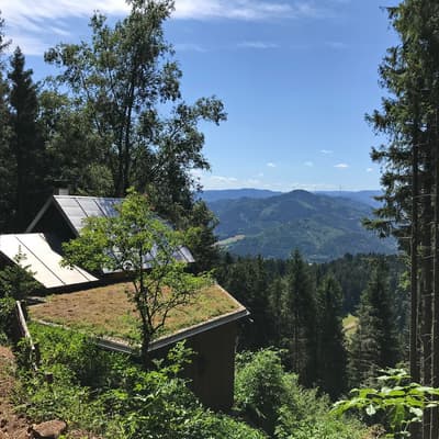 Westweg 2019 – Bild 178