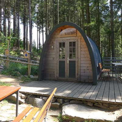 Westweg 2019 – Bild 179
