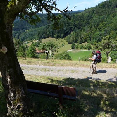Westweg 2019 – Bild 180