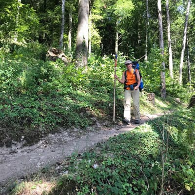 Westweg 2019 – Bild 182