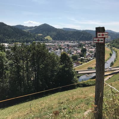 Westweg 2019 – Bild 183