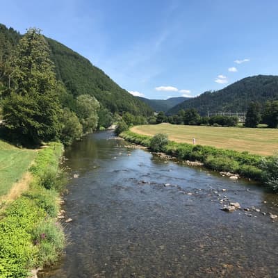 Westweg 2019 – Bild 184