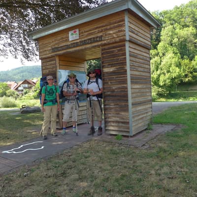 Westweg 2019 – Bild 187
