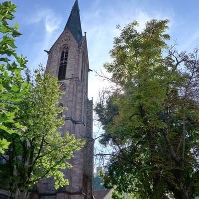Westweg 2019 – Bild 191