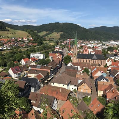 Westweg 2019 – Bild 192