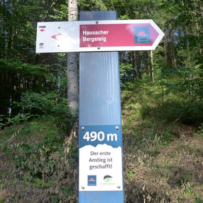 Westweg 2019 – Bild 194