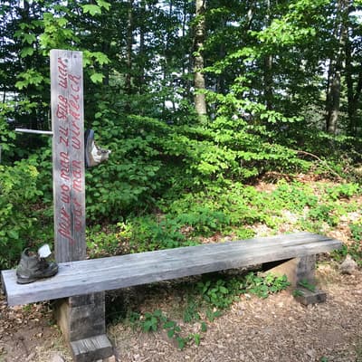 Westweg 2019 – Bild 195
