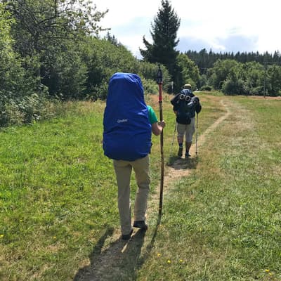 Westweg 2019 – Bild 204