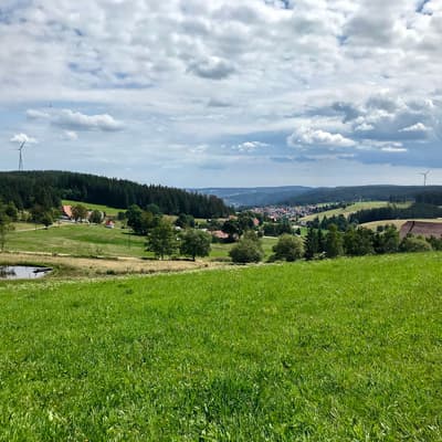 Westweg 2019 – Bild 211
