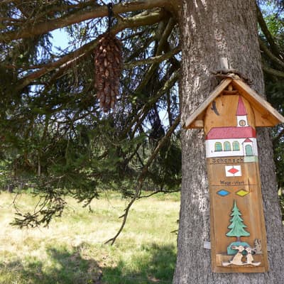 Westweg 2019 – Bild 212