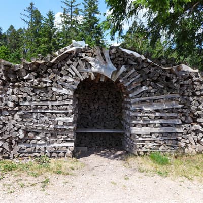 Westweg 2019 – Bild 213