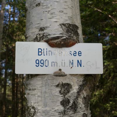 Westweg 2019 – Bild 229