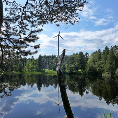 Westweg 2019 – Bild 230
