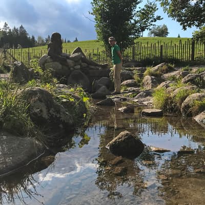 Westweg 2019 – Bild 237