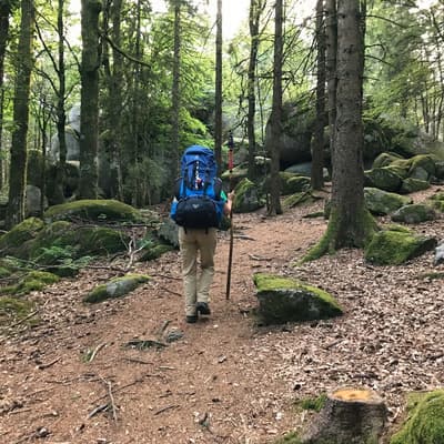 Westweg 2019 – Bild 241