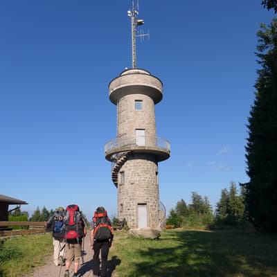 Westweg 2019 – Bild 254