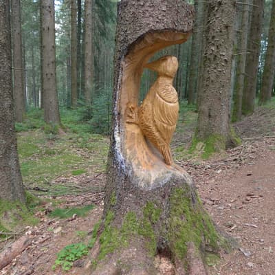 Westweg 2019 – Bild 266