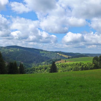 Westweg 2019 – Bild 267