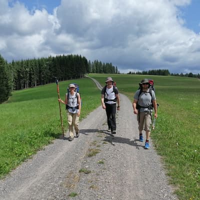 Westweg 2019 – Bild 268