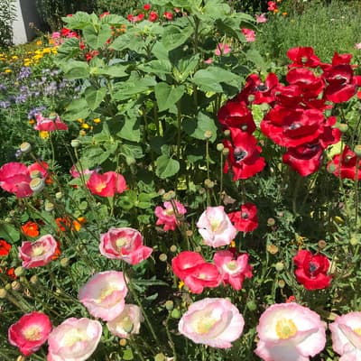 Westweg 2019 – Bild 271