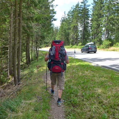 Westweg 2019 – Bild 273