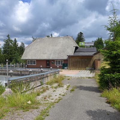 Westweg 2019 – Bild 275