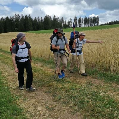 Westweg 2019 – Bild 279