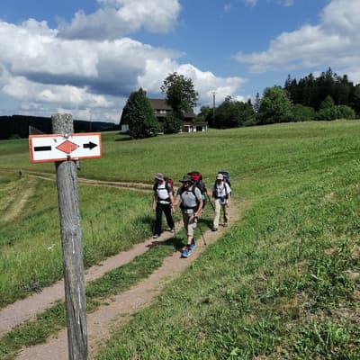 Westweg 2019 – Bild 283