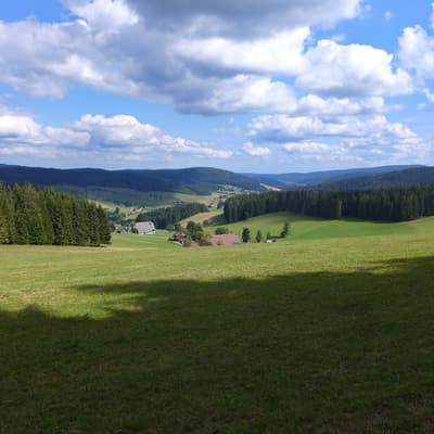 Westweg 2019 – Bild 286