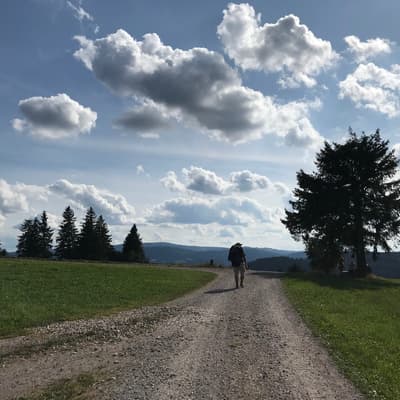 Westweg 2019 – Bild 288