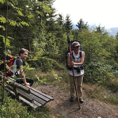 Westweg 2019 – Bild 290