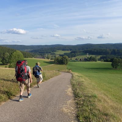 Westweg 2019 – Bild 291