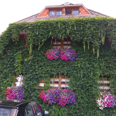 Westweg 2019 – Bild 293