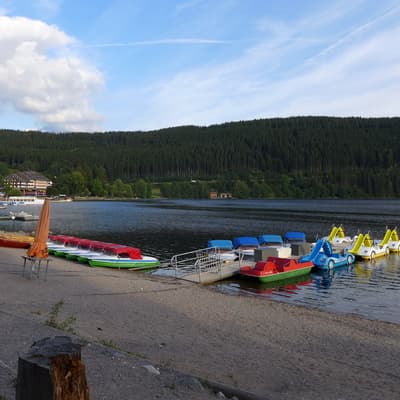 Westweg 2019 – Bild 294
