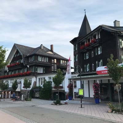 Westweg 2019 – Bild 297