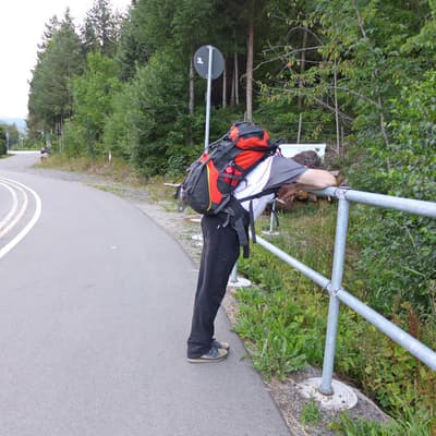 Westweg 2019 – Bild 298