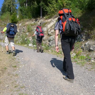 Westweg 2019 – Bild 312