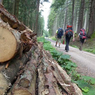 Westweg 2019 – Bild 314