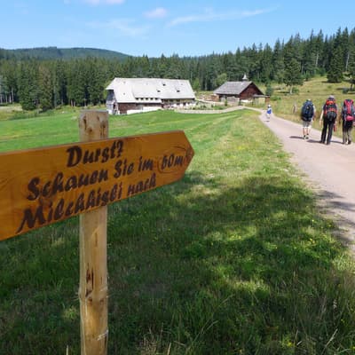 Westweg 2019 – Bild 316