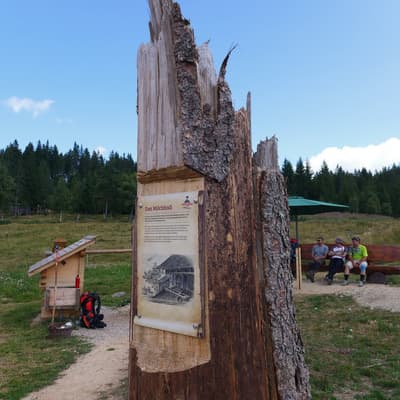 Westweg 2019 – Bild 319