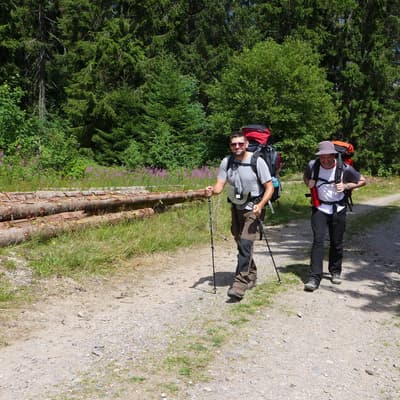 Westweg 2019 – Bild 323