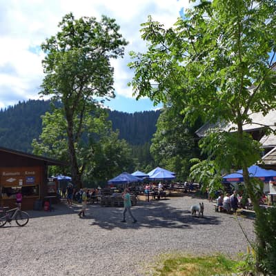 Westweg 2019 – Bild 324