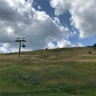 Westweg 2019 – Bild 332
